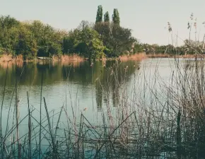 Jezioro Czerniakowskie